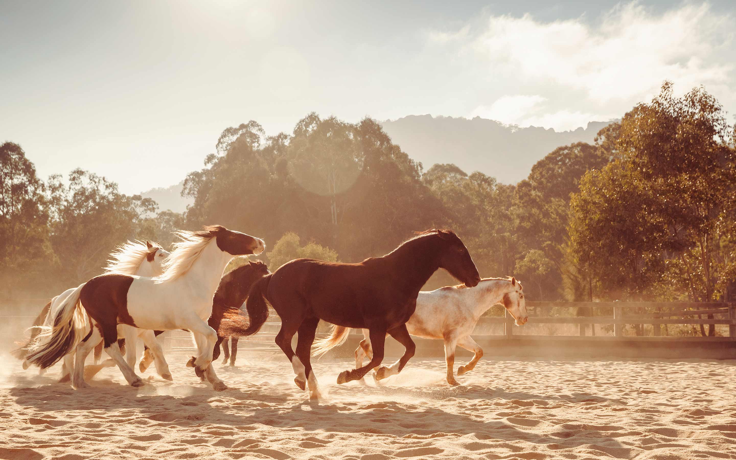 Polo & Equestrian Club in Mexico | One&Only Mandarina